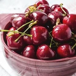 Cherry 'Stella' Bare Root 7 Cherry 'Stella' Bare Root -Plants Sale 2207