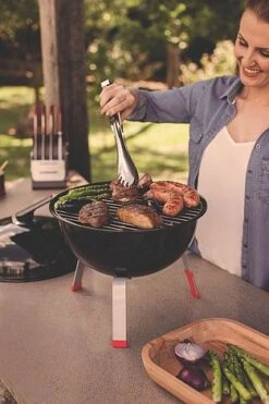 Tramontina Charcoal Grill With Lid 14 Tramontina Charcoal Grill With Lid -Plants Sale 26500003 5