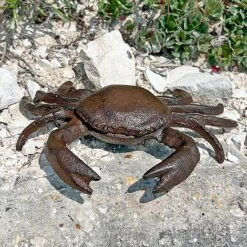 Crab Garden Ornament In Cast Iron -Plants Sale 2873 6