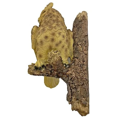 Wall Mountable Eagle Owl Bird On A Branch Garden Ornament 4 Wall Mountable Eagle Owl Bird On A Branch Garden Ornament - Image 2