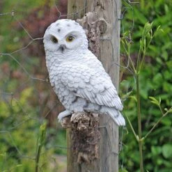 Wall Mountable Snowy Owl Bird On A Branch Garden Ornament -Plants Sale 3445 SNOW 5