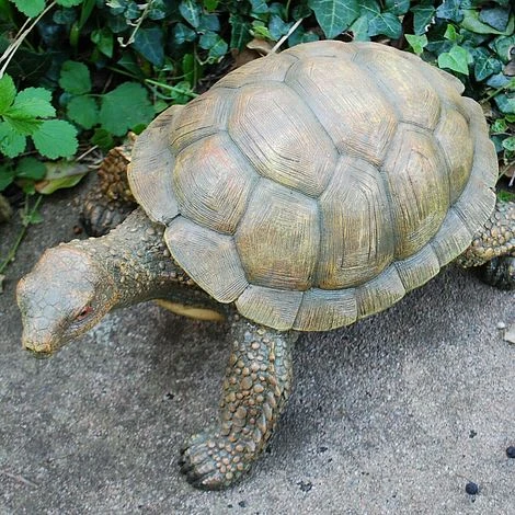 Large Tortoise Garden Animal Ornament 4 Large Tortoise Garden Animal Ornament - Image 2