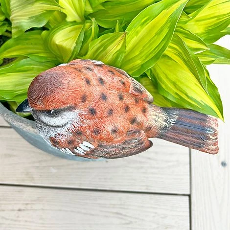 Large Sparrow Bird Garden Ornament 5 Large Sparrow Bird Garden Ornament - Image 3