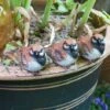 Set Of 3 Pot Topping Sparrow Bird Garden Ornaments 2 Set Of 3 Pot Topping Sparrow Bird Garden Ornaments -Plants Sale 3663XS