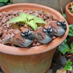 Set Of 3 Pot Topping Sparrow Bird Garden Ornaments -Plants Sale 3663XS 2
