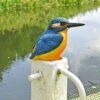 Large Kingfisher Bird Garden Ornament 2 Large Kingfisher Bird Garden Ornament -Plants Sale 3707 2