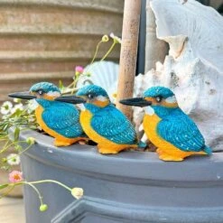 3 Pot Topping Kingfisher Bird Garden Ornaments -Plants Sale 3710 11