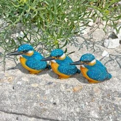 3 Pot Topping Kingfisher Bird Garden Ornaments -Plants Sale 3710 7