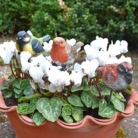 3 Garden Birds On Sticks Outdoor Ornaments 6 3 Garden Birds On Sticks Outdoor Ornaments - Image 4