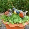 3 Garden Birds On Sticks Outdoor Ornaments 1 3 Garden Birds On Sticks Outdoor Ornaments -Plants Sale 3714 7