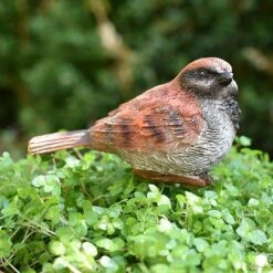 3 Garden Birds On Sticks Outdoor Ornaments 13 3 Garden Birds On Sticks Outdoor Ornaments -Plants Sale 3714 9