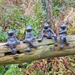 Four Edge Sitting Cast Iron Frog Ornaments 9 Four Edge Sitting Cast Iron Frog Ornaments -Plants Sale 430126000708 5