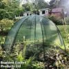 Brolly Cloche -Plants Sale 5926441