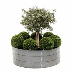 Flex Garden 7 Flex Garden -Plants Sale 592953d