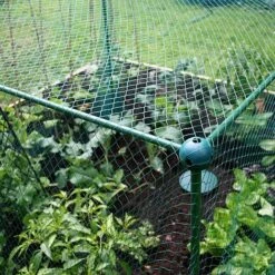 Butterfly Protection Cage -Plants Sale 784011B