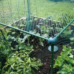 Butterfly Protection Cage -Plants Sale 784027A