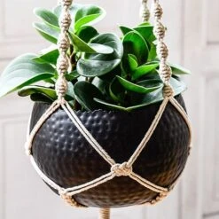 Hammered Bowl Black/Copper 19Cm -Plants Sale AC19B 2