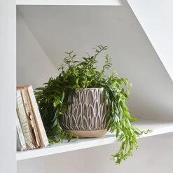 Arles Leaf Embossed Mocha Planter H17Cm D18Cm -Plants Sale ALEMP18 1