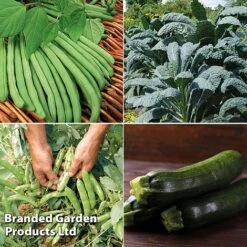 Allotment Seed Collection -Plants Sale ALLO KC9289 C