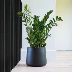 Akemi Planter Carbon Black H20CM D22CM -Plants Sale APCB22 2