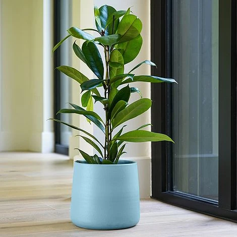 Akemi Planter Nordic Blue H20CM D22CM 4 Akemi Planter Nordic Blue H20CM D22CM - Image 2