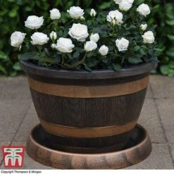 Wooden Barrel Effect Pot & Saucer -Plants Sale BARR KA8437 C