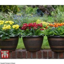 Wooden Barrel Effect Pot & Saucer -Plants Sale BARR POT B1