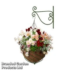 Large Hanging Basket Kits -Plants Sale BASK LARGEGREE B