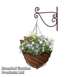 Large Hanging Basket Kits -Plants Sale BASK LARGEWINE B