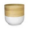 Bamboo White Planter D23Cm -Plants Sale BWP23