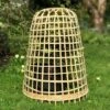 Bamboo Bell Cloche & Garden Plant Protection Cover - Small -Plants Sale Bamboo20Cloche201000x100020976kb