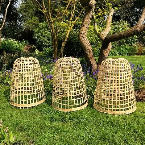 Bamboo Bell Cloche & Garden Plant Protection Cover - Small 4 Bamboo Bell Cloche & Garden Plant Protection Cover - Small - Image 2