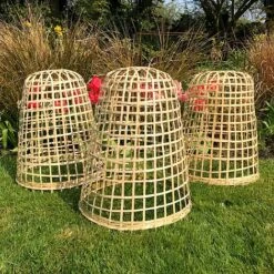 Bamboo Bell Cloche & Garden Plant Protection Cover - Medium -Plants Sale Bamboo20Cloche20pk203201000x100020973kb1