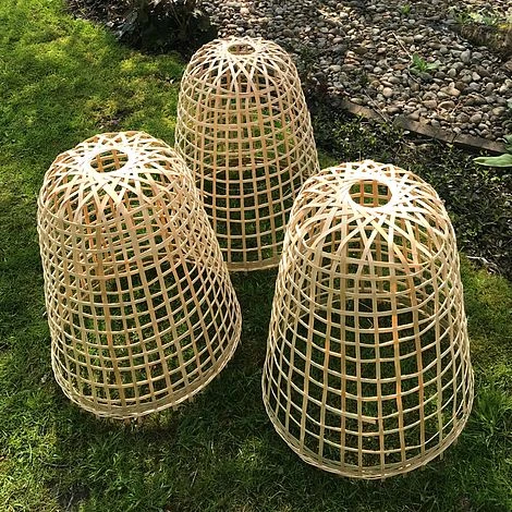 Bamboo Bell Cloche & Garden Plant Protection Cover - Small 6 Bamboo Bell Cloche & Garden Plant Protection Cover - Small - Image 4