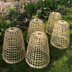 Bamboo Bell Cloche & Garden Plant Protection Cover - Small 12 Bamboo Bell Cloche & Garden Plant Protection Cover - Small -Plants Sale Bamboo20Cloche20pk205201000x100020916kb2