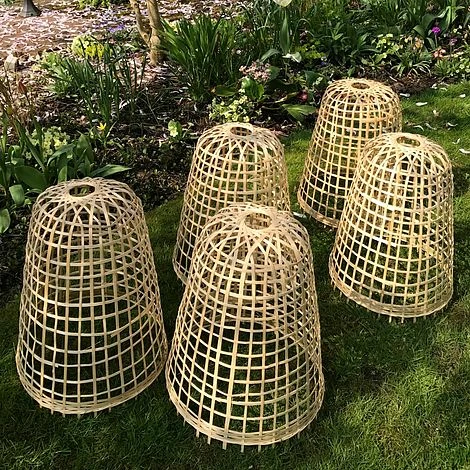 Bamboo Bell Cloche & Garden Plant Protection Cover - Small 7 Bamboo Bell Cloche & Garden Plant Protection Cover - Small - Image 5