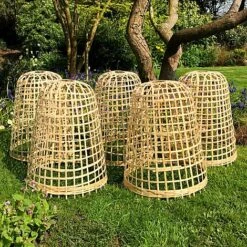 Bamboo Bell Cloche & Garden Plant Protection Cover - Medium -Plants Sale Bamboo20Cloche20pk205201000x100020945kb1