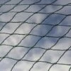 Bird Block Soft Bird Mesh Netting For Fruit Veg & Plants - 6m Wide -Plants Sale Bird20Net201000x100020880kb1