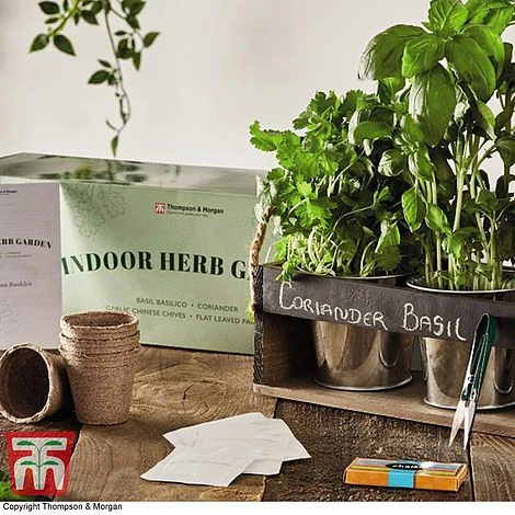 Chalk Board Herb Garden Gift Set - Gift 5 Chalk Board Herb Garden Gift Set - Gift - Image 3