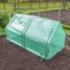 Spare Cover For Garden Grow Apex Cloche -Plants Sale CLOC PREMIAPEX U308001