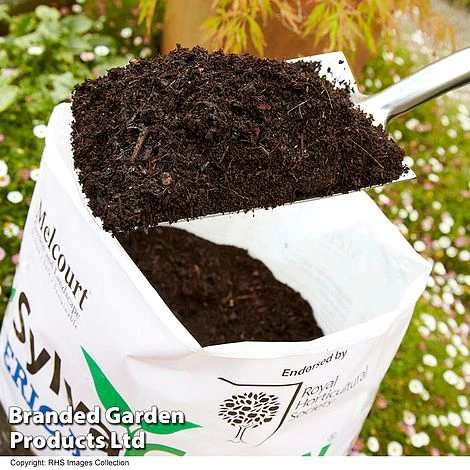 Ericaceous Compost 4 Ericaceous Compost - Image 2