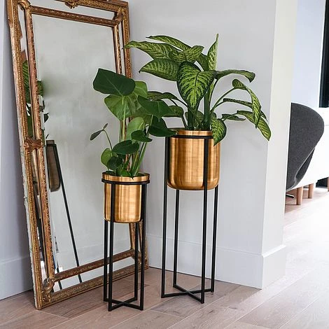 Calla Planter Stand Black/Antique Gold H58CM D22CM 5 Calla Planter Stand Black/Antique Gold H58CM D22CM - Image 3