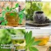 Botanical Infusions Plants - Collection 1 Botanical Infusions Plants - Collection -Plants Sale Collage herb