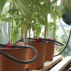 Mighty Dripper -Plants Sale D3659 44DBF4D4 0107 1176 748C8000EA649075