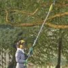 Corded Pole Chainsaw -Plants Sale D5942201000x1000