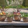 4 Pack Of Antique Effect Planters -Plants Sale D6146 1000x1000 LS