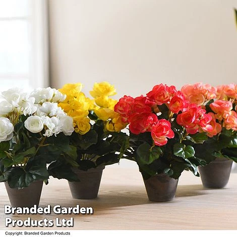 Artificial Begonia In Grey Pot Colour Collection 4 Artificial Begonia In Grey Pot Colour Collection - Image 2