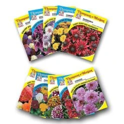 Seed Collection Tin - Gift 13 Seed Collection Tin - Gift -Plants Sale FLOW T45153P A h1