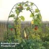 Circular Plant Growing Frame -Plants Sale FRAM LONDONEYE S46658