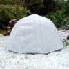 Frost Brolly Pest & Winter Protection Plant Umbrella Dome 1 Frost Brolly Pest & Winter Protection Plant Umbrella Dome -Plants Sale FROSTBROLLY20800x80020826kb1